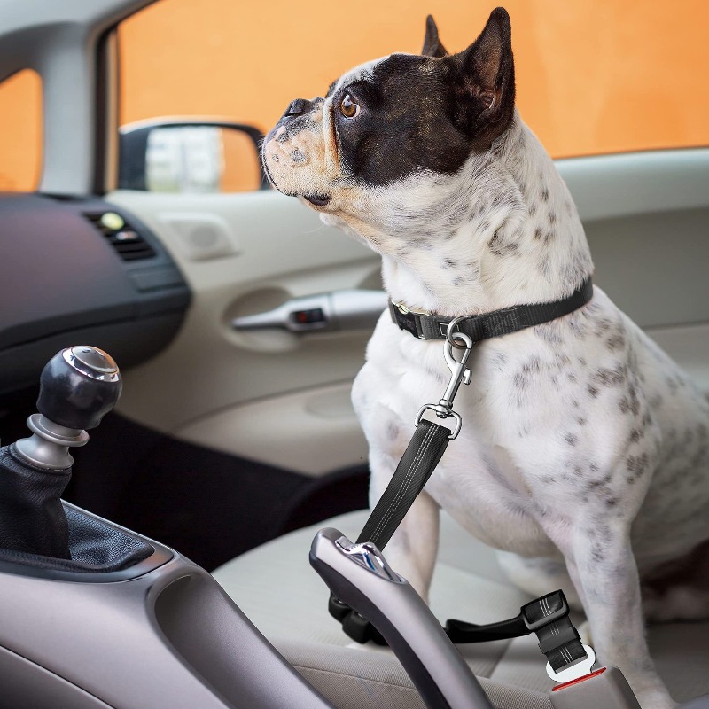 Retractable Dog Car Harness Se - Snap Fastener Setter ulasan dan harga